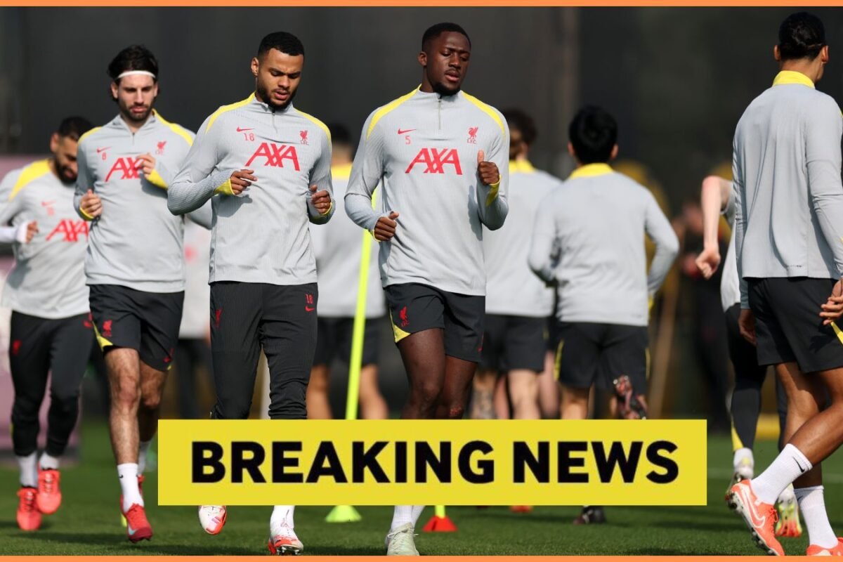 Liverpool to think about Cody Gakpo sale if appropriate provide arrives