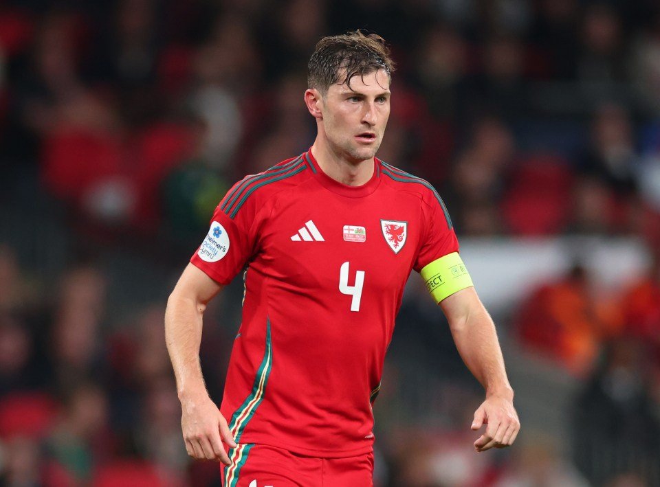 ‘When he talks, you pay attention’ – Craig Bellamy names Premier League participant he predicts will turn out to be a ‘prime supervisor’