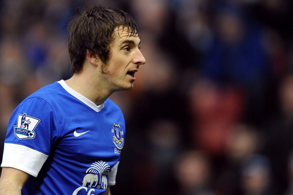 Are you able to title each participant to get 20+ Premier League assists for Everton?