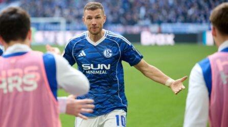 Edin Dzeko is rolling again the years as Schalke search redemption