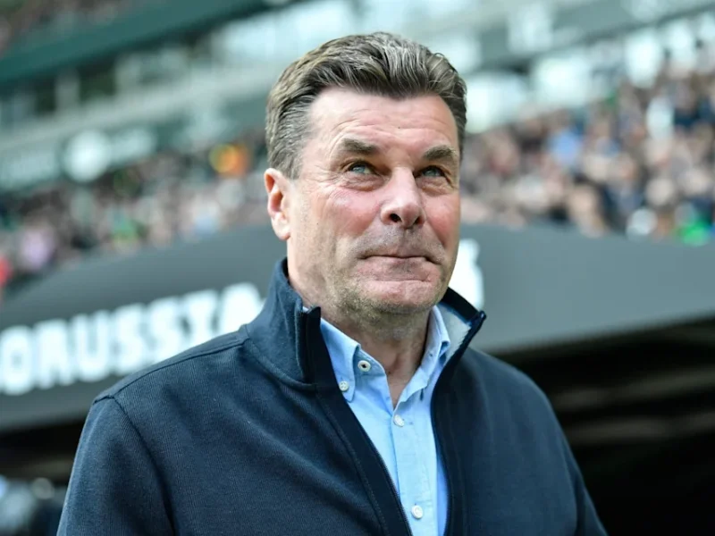Wolfsburg Reappoint Dieter Hecking as Coach Amid Relegation Combat – Softfootball