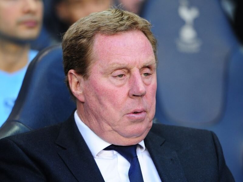 Harry Redknapp’s 30 most-used Premier League gamers