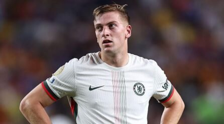 Softfootball Advises Chelsea to Promote Delap if Newcastle Make Critical Supply – Softfootball