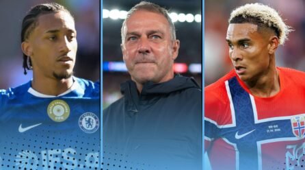5 excellent signings after Alvarez, Bernardo setbacks