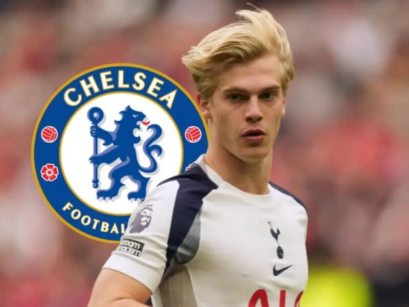 Chelsea Shocked as Spurs Identify £45m–£50m as Lucas Bergvall Value – Softfootball