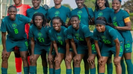 Tremendous Falcons’ Official Squad Numbers Launched for WAFCON 2026 – Softfootball