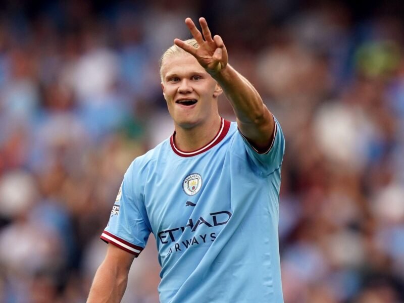 High Premier League goalscorers from Norway
