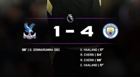 Manchester Metropolis Thrash Crystal Palace 4-1 at Selhurst Park